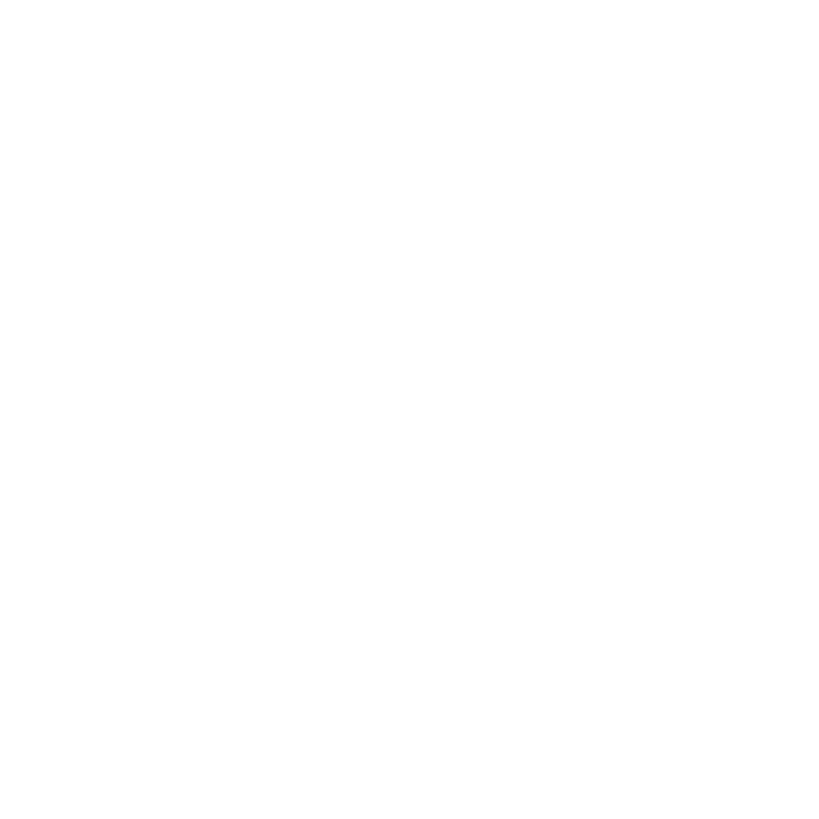 Renaissance Academy of Martial Arts Logo